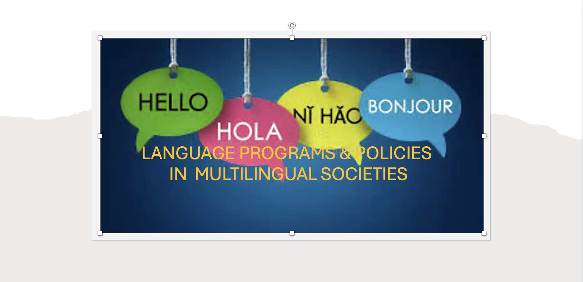 LANGUAGE PROGRAMS & POLICIES IN MULTILINGUAL SOCIETIES